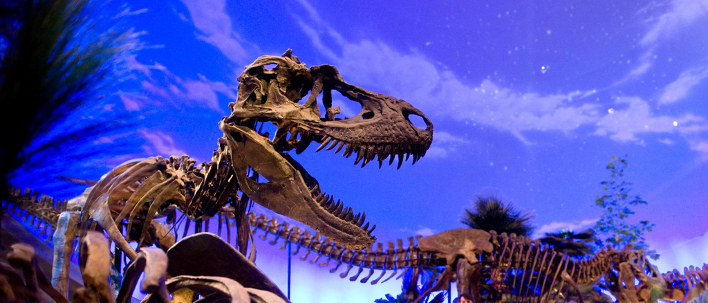 The Children's Museum of Indianapolis, Indiana