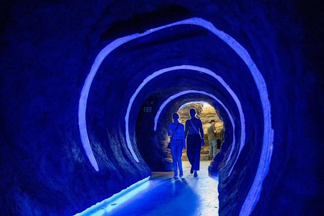 The Rabbit hOle, St. Louis