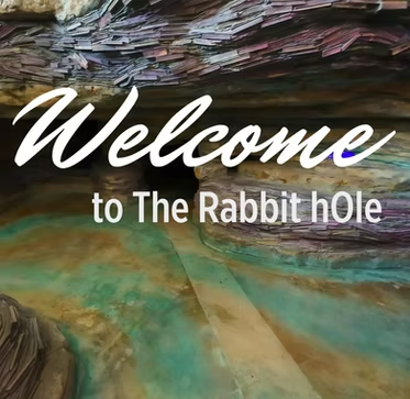 The Rabbit hOle, St. Louis